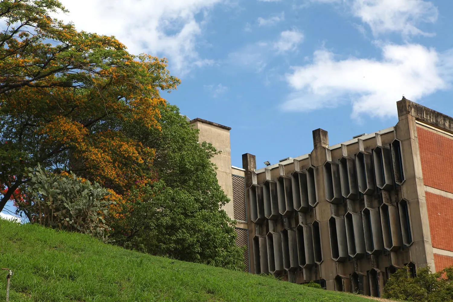 UCAB escaló 200 puestos en ranking internacional de desarrollo sostenible universitario