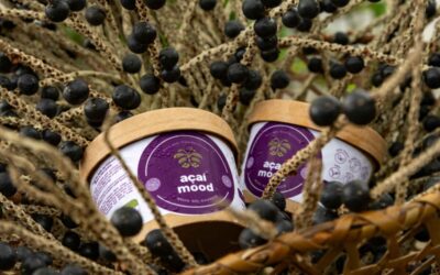 PROYECTO “MANACA DEL DELTA” GANA EL PRIMER LUGAR EN EL PROGRAMA NACIONAL DE ECO INNOVATION DE NACIONES UNIDAS