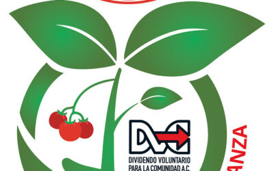 Siembra Esperanza, ISOLA FOODS, OSOLE y El DVC certificarán agricultores de tomate en el estado Anzoátegui