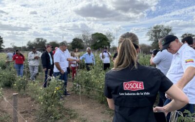 Siembra Esperanza cierra su 3ra Edición con herramientas para el foco de la postcosecha
